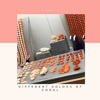 Different colors of coral