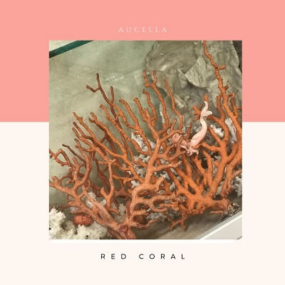 Red Coral