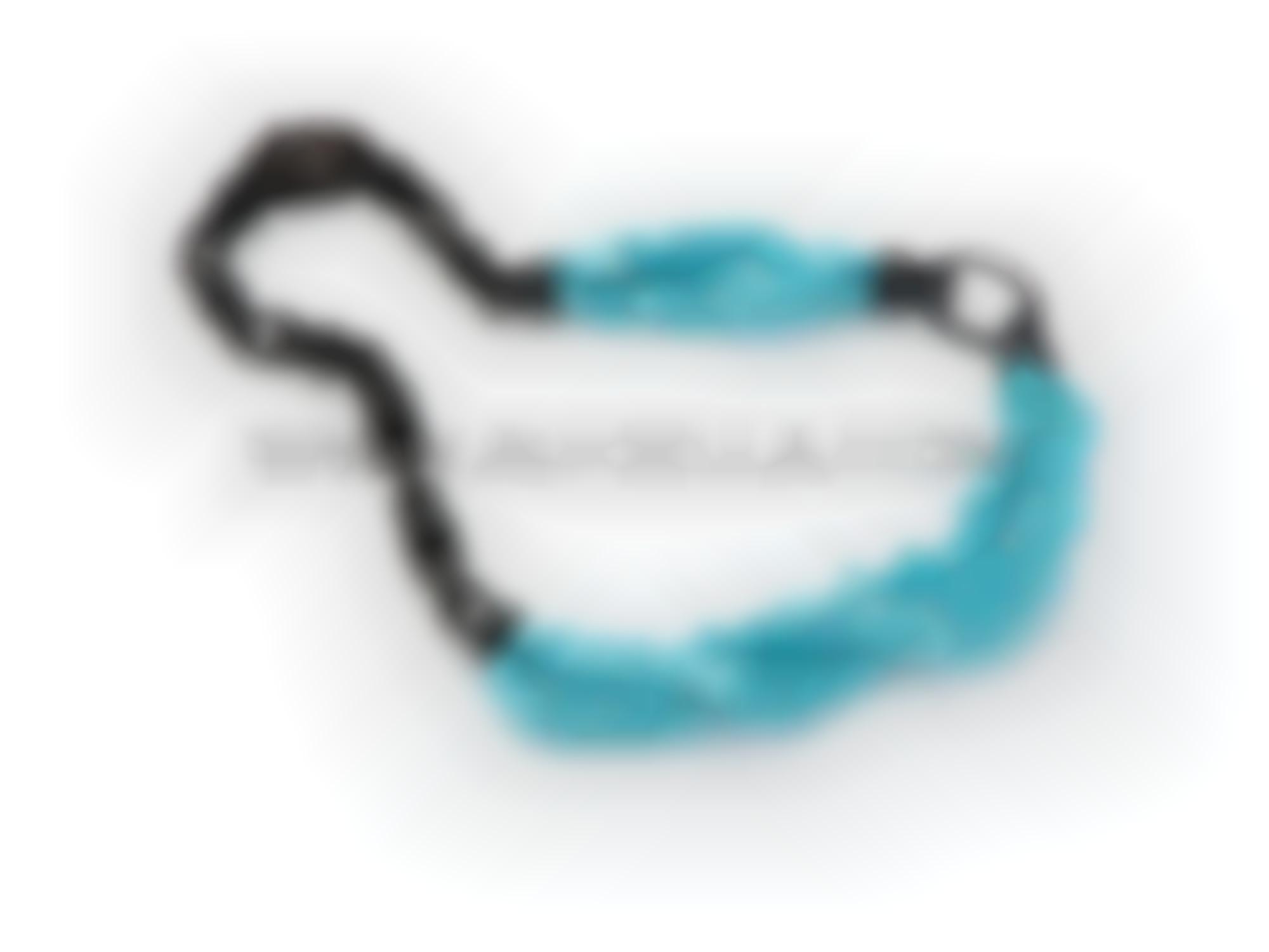 Turquoise necklace with ebony