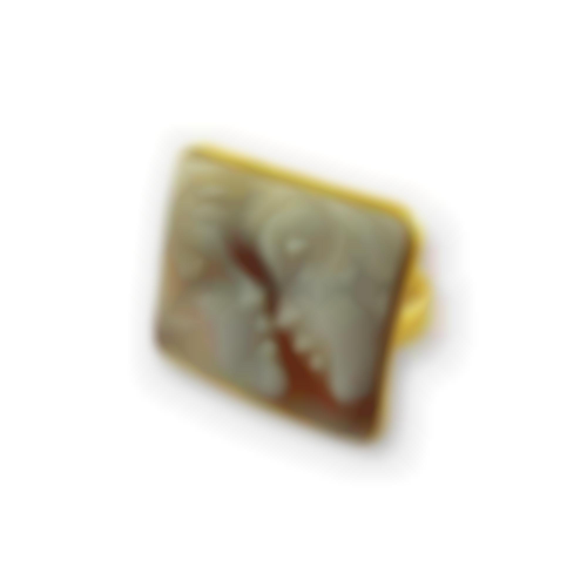 Cammeo rettangolare in argento 925 