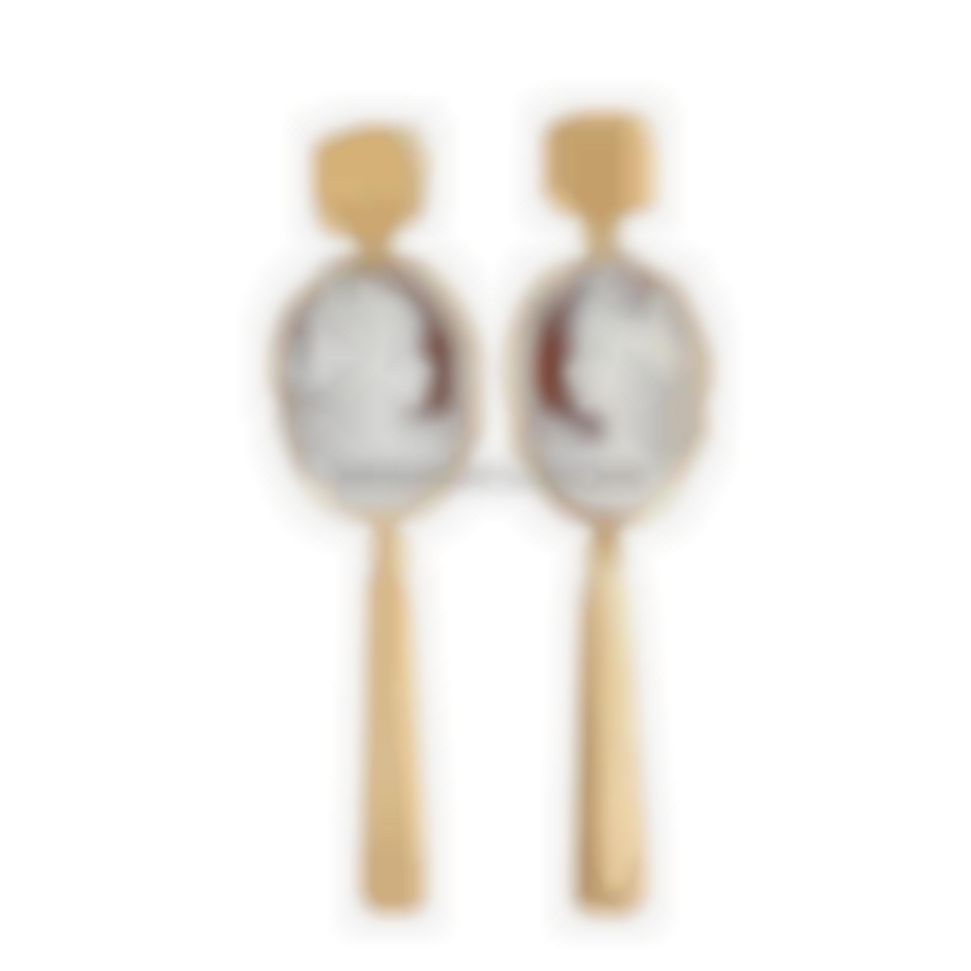 Volto di donna