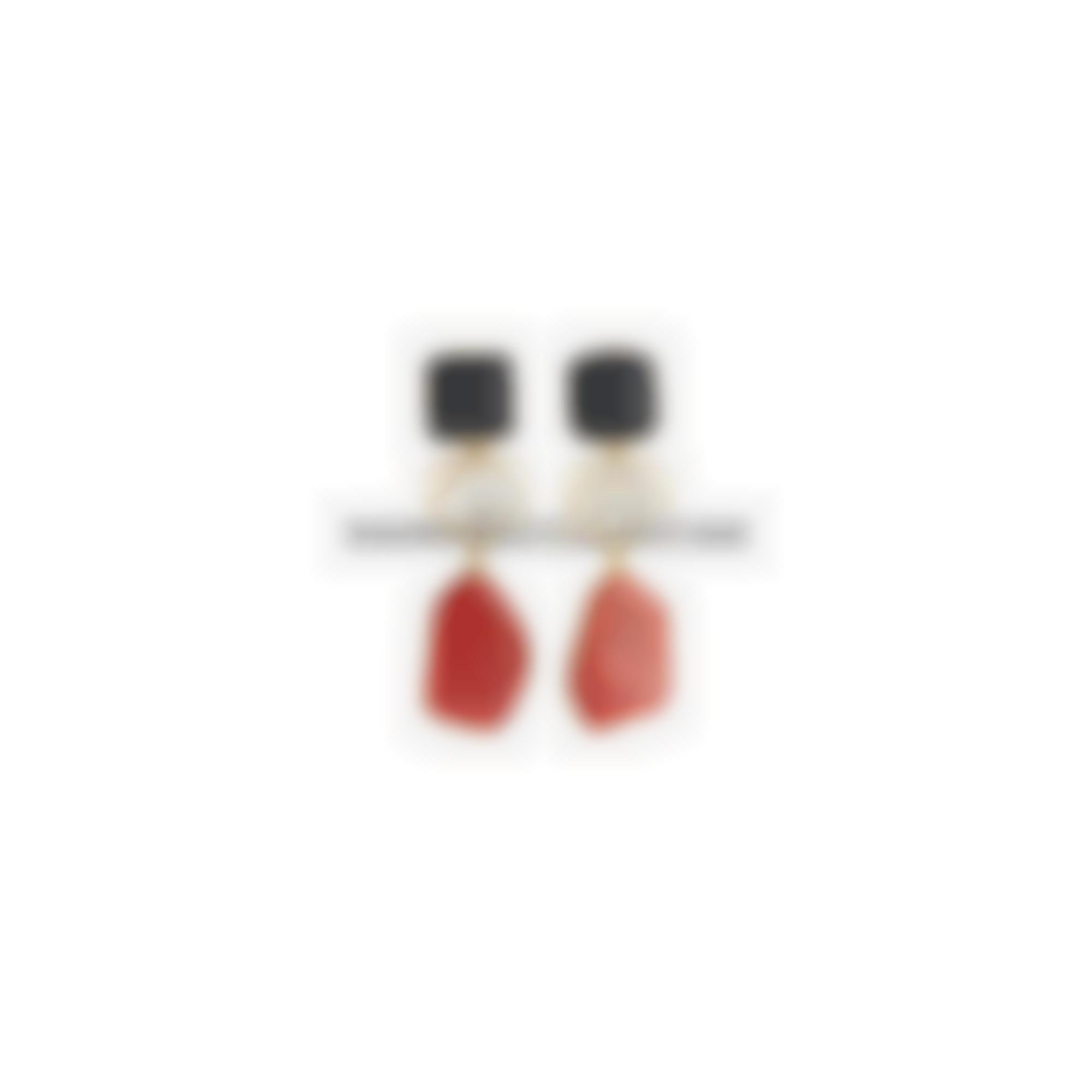 Earrings set in silver with natural red coral and onyx and mop