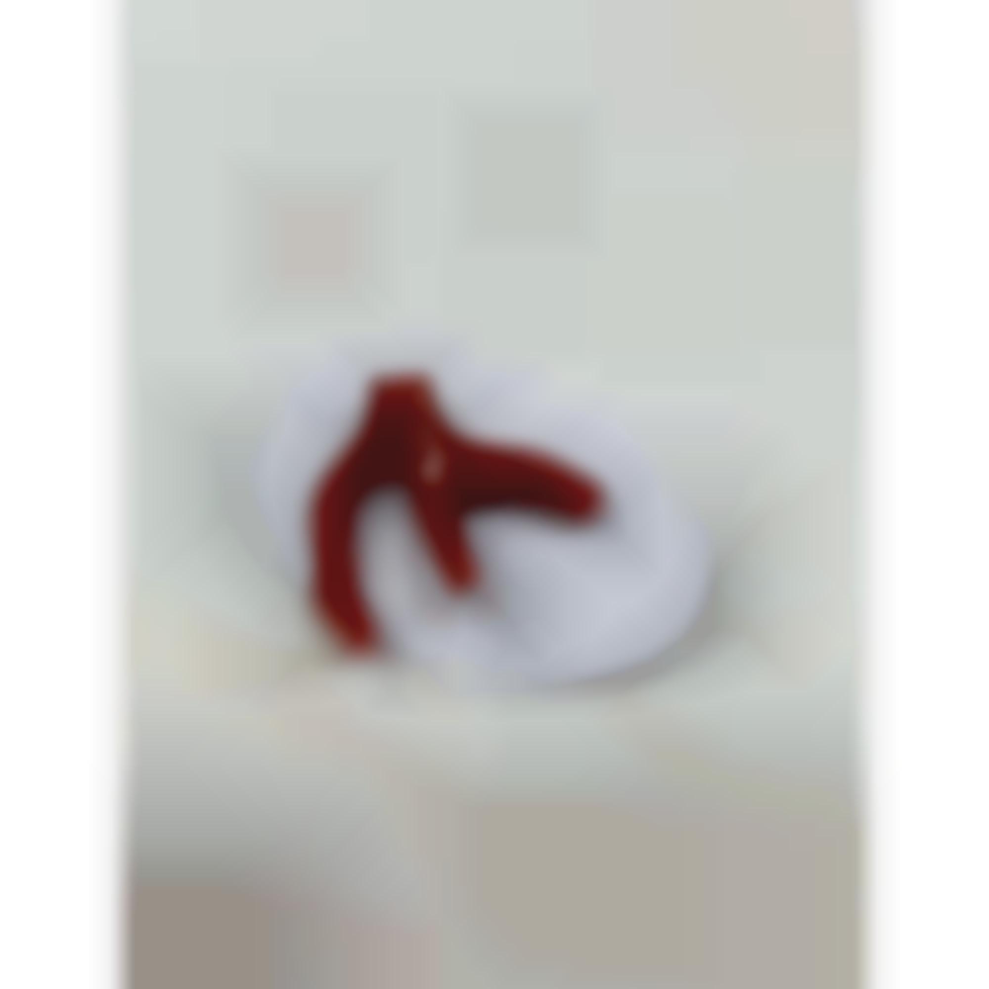 Coral Jacket pin