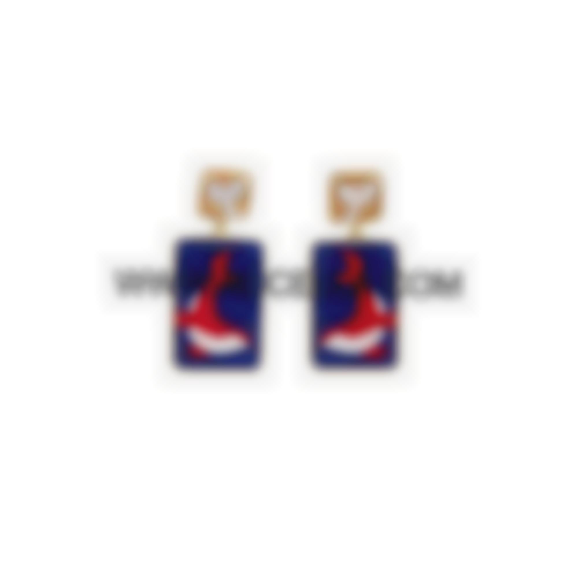 Earrings set in silver mosaic and cameos 