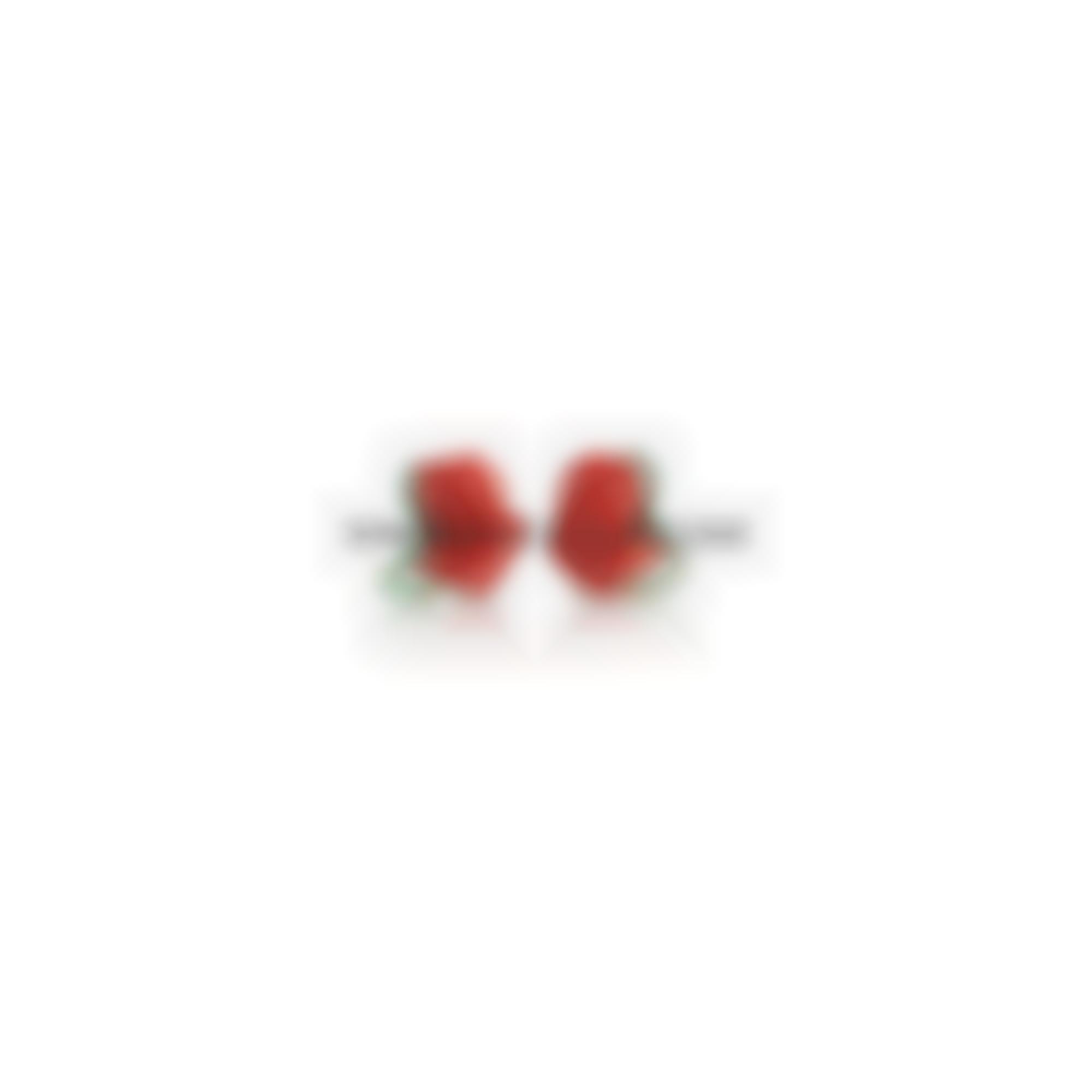 Earrings set in silver with zircons and natural coral