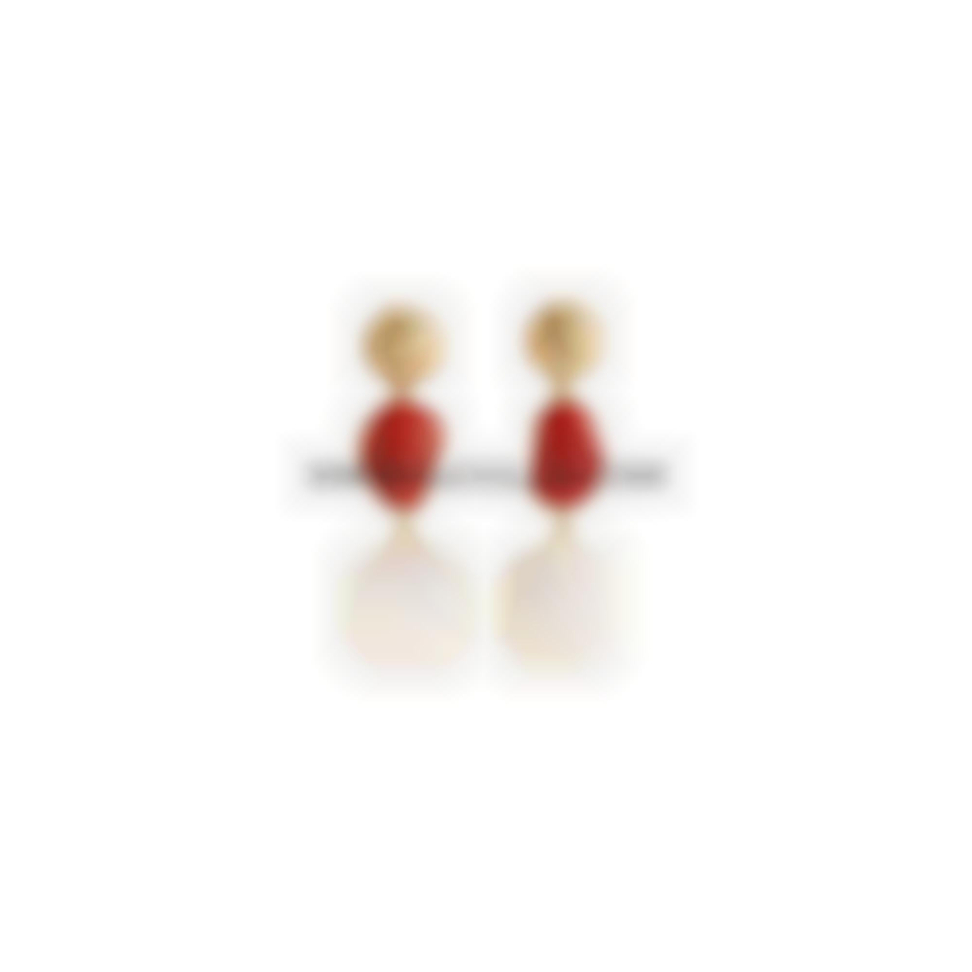 Orecchini in argento con corallo rosso naturale con pietre 
