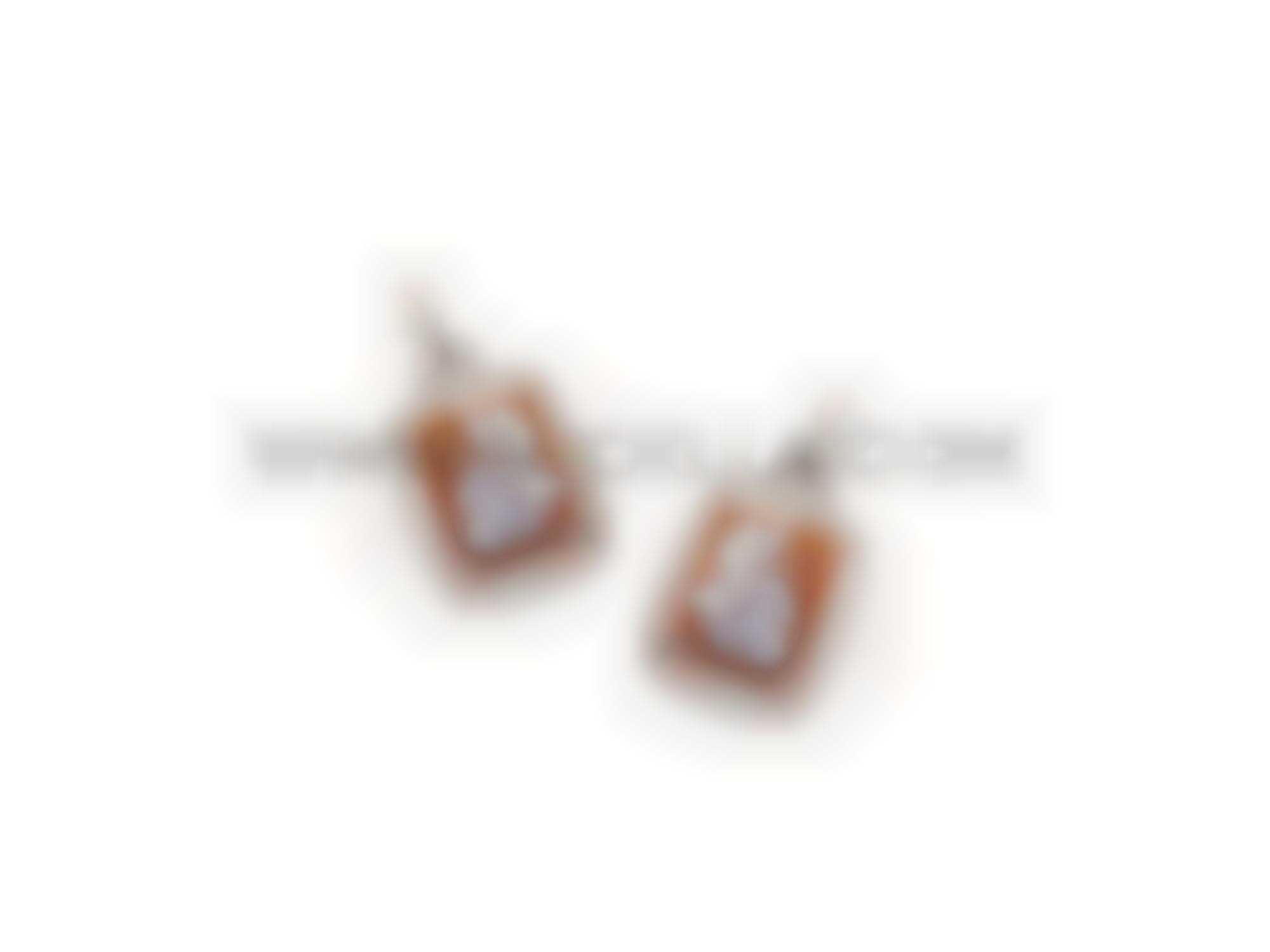 Earrings set in gold with cameos 