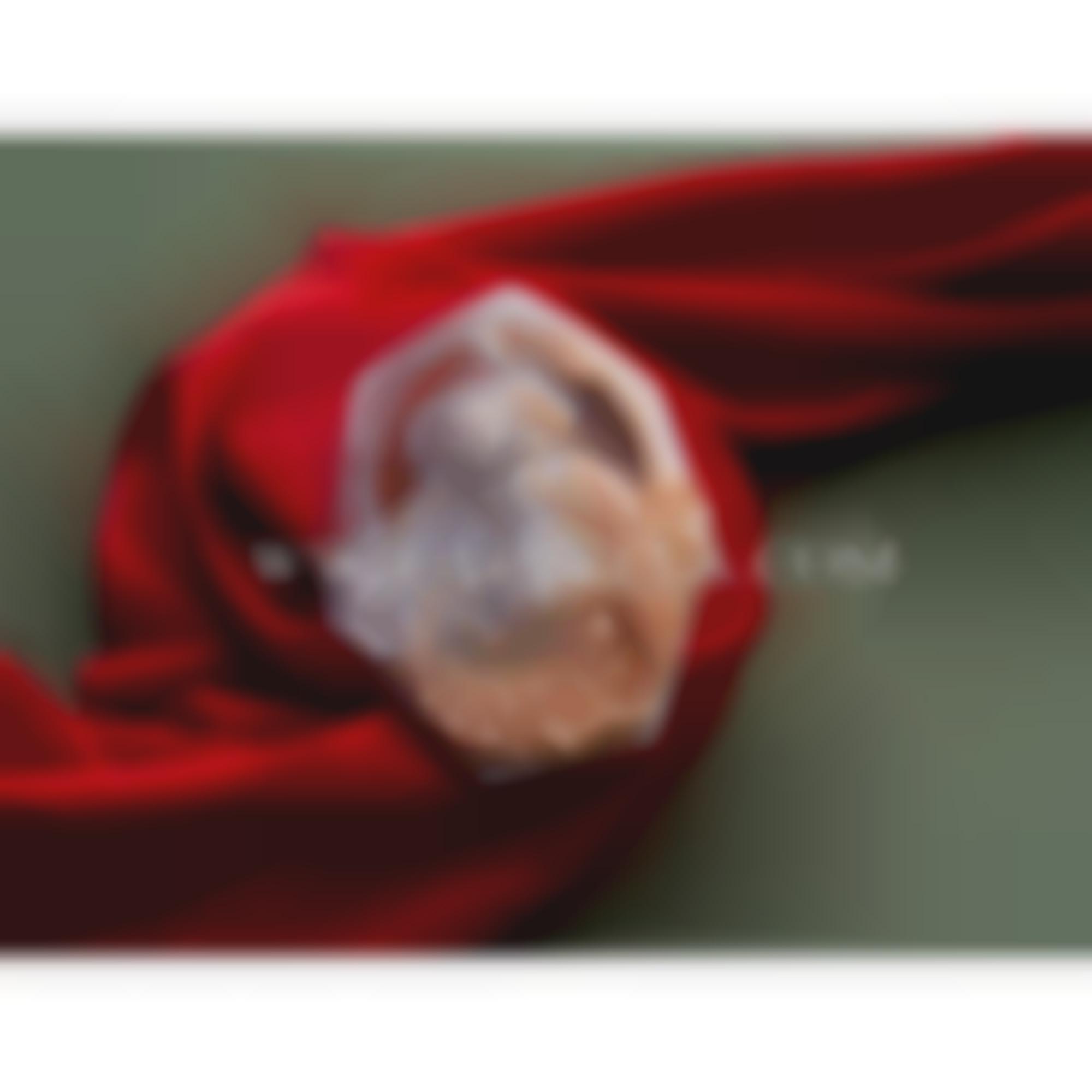 Carving on natural seashell