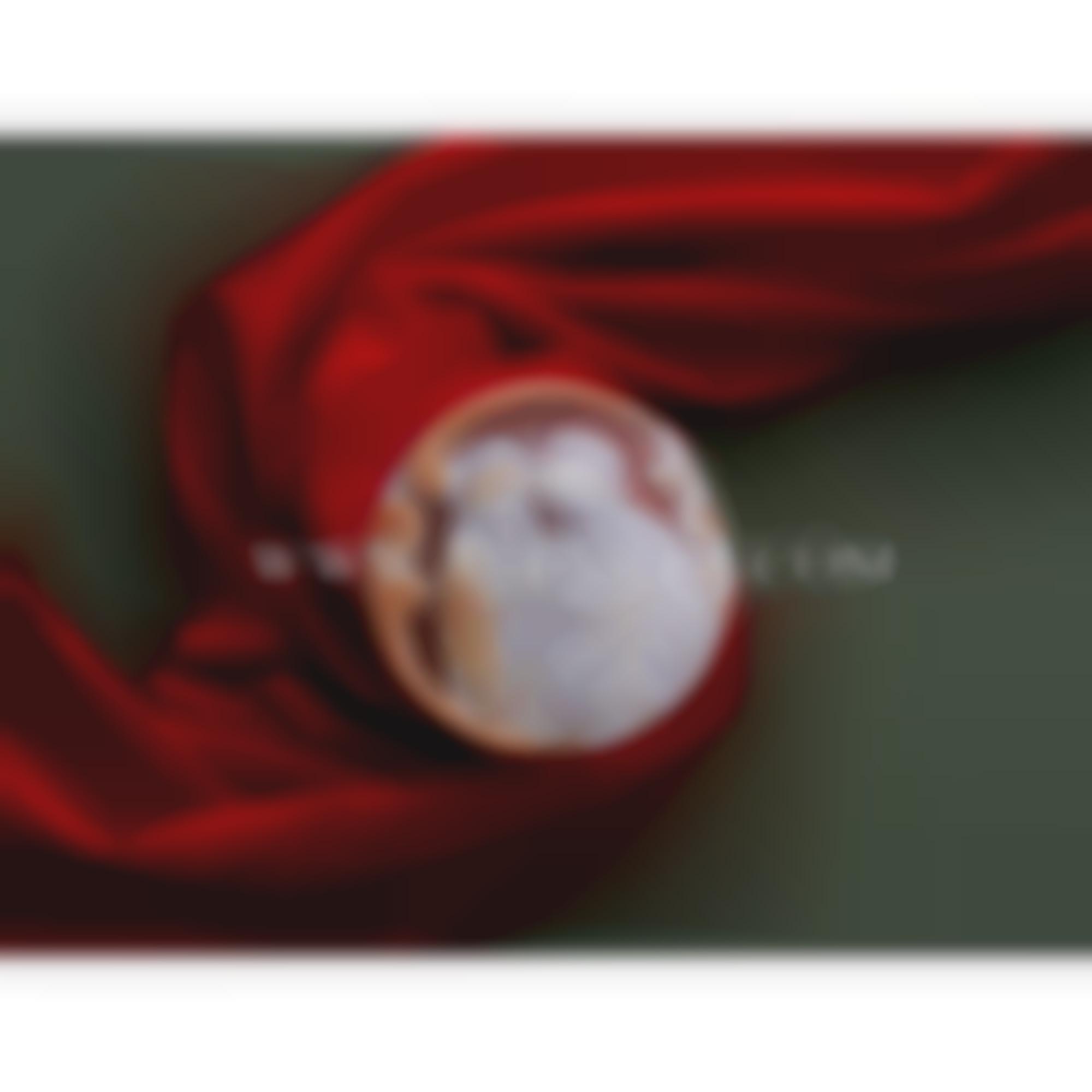 Nativity scene on natural seashell cameo