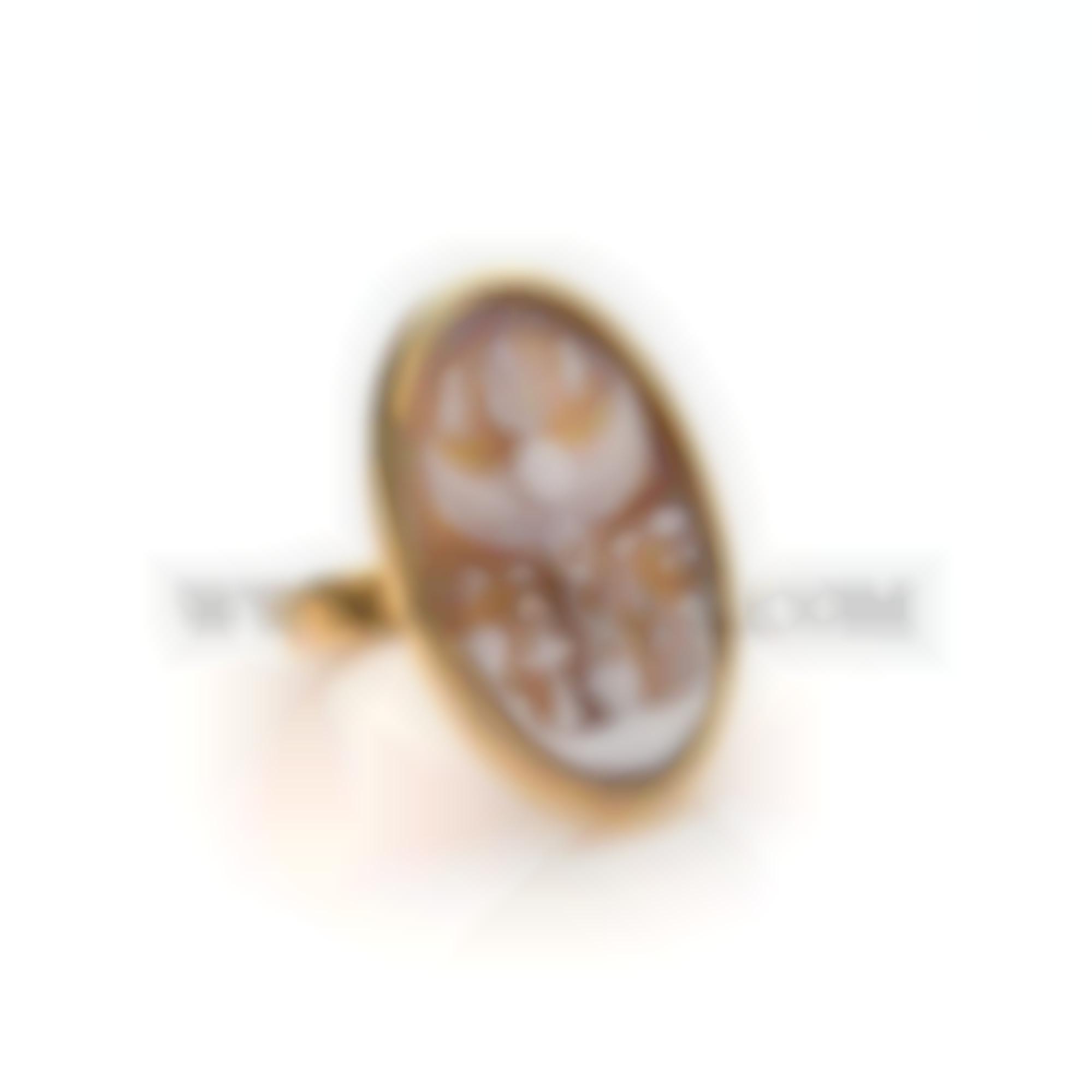 Ring with silver and cameo symbol collection