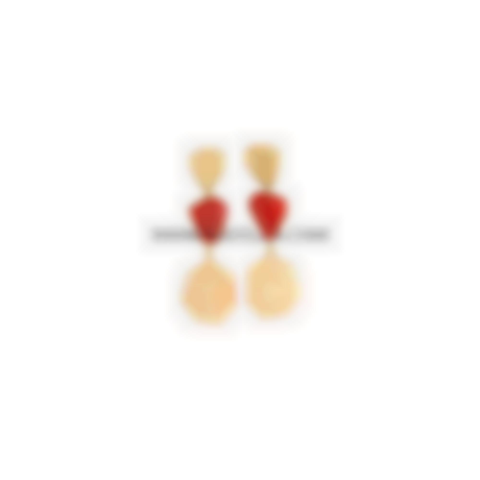 Earrings with natural italian coral set in silver