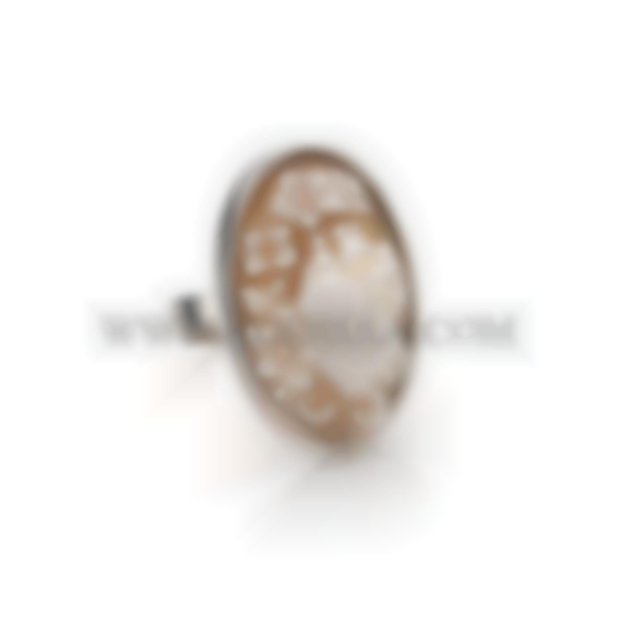 Oval shape cameo handmade and set in silver 