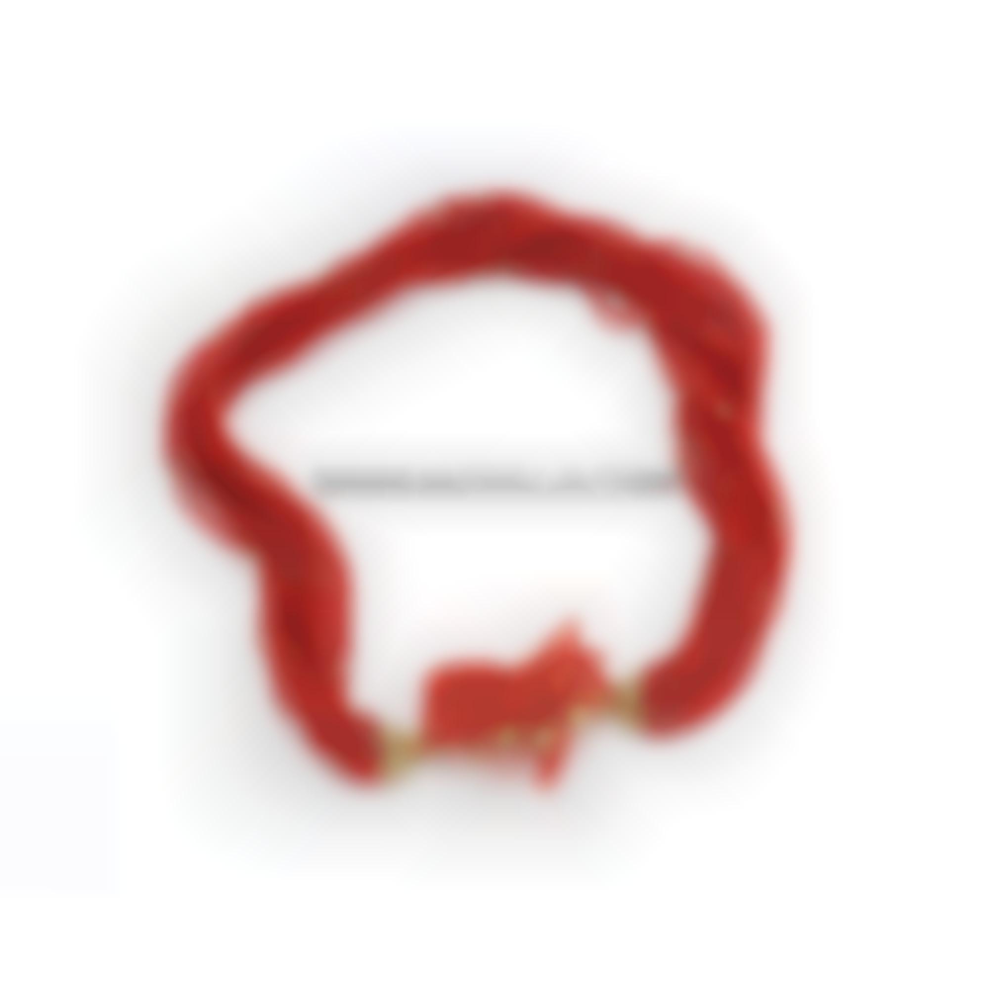 Collier con chiusura in oro e corallo 