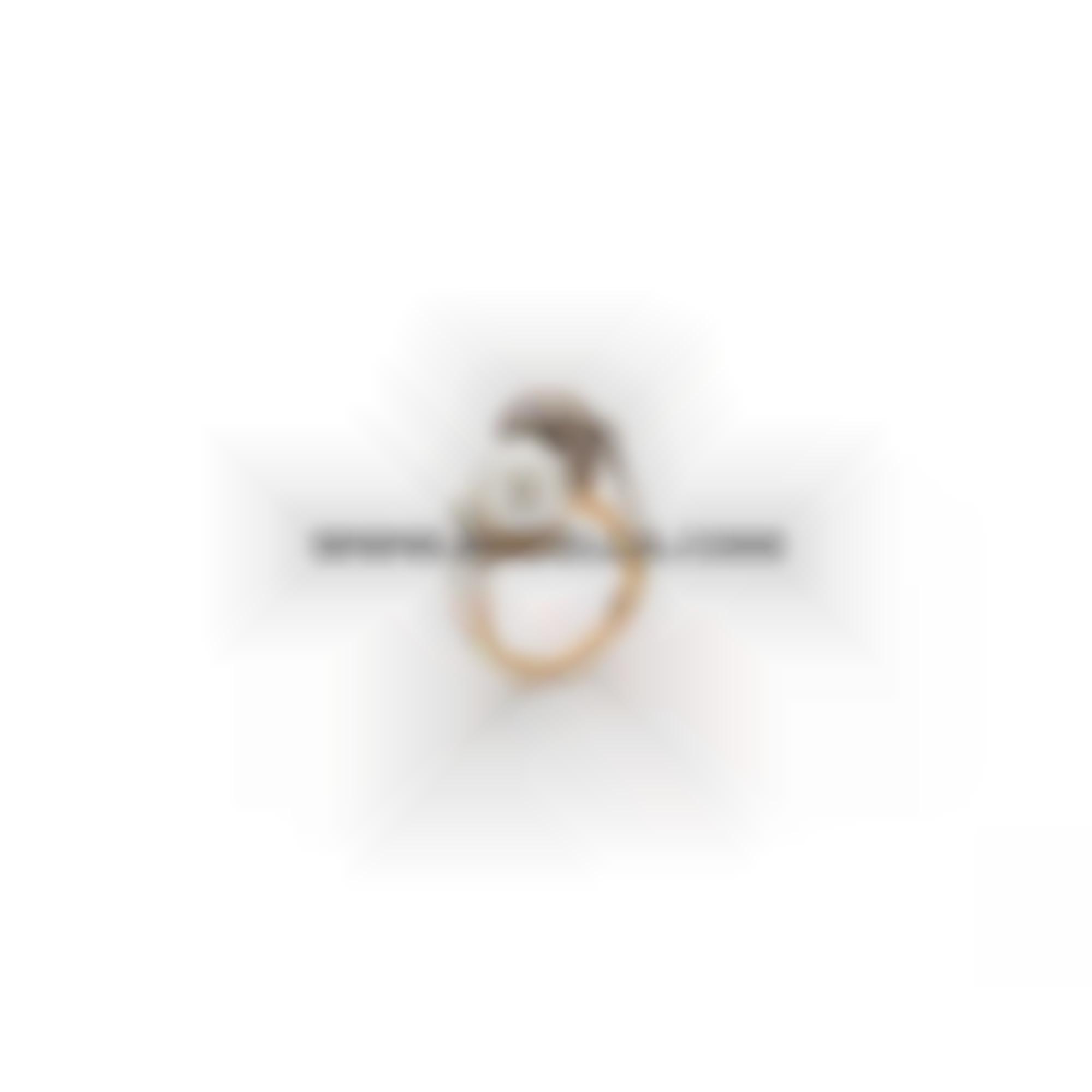 Ring black ad white set in gold and diamonds 