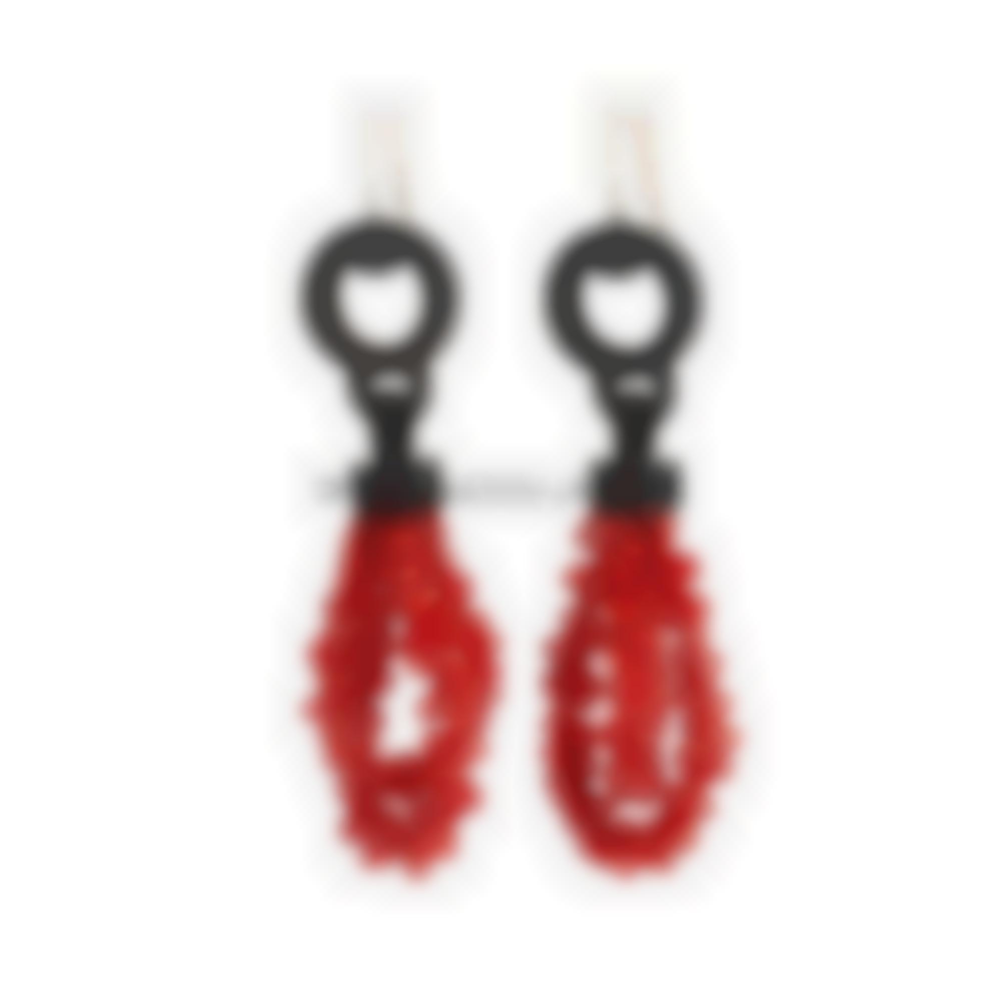 Cupolini and Ebony Earrings