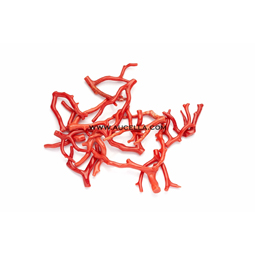 Rami in corallo rosso grandi