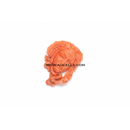 Carving face snake