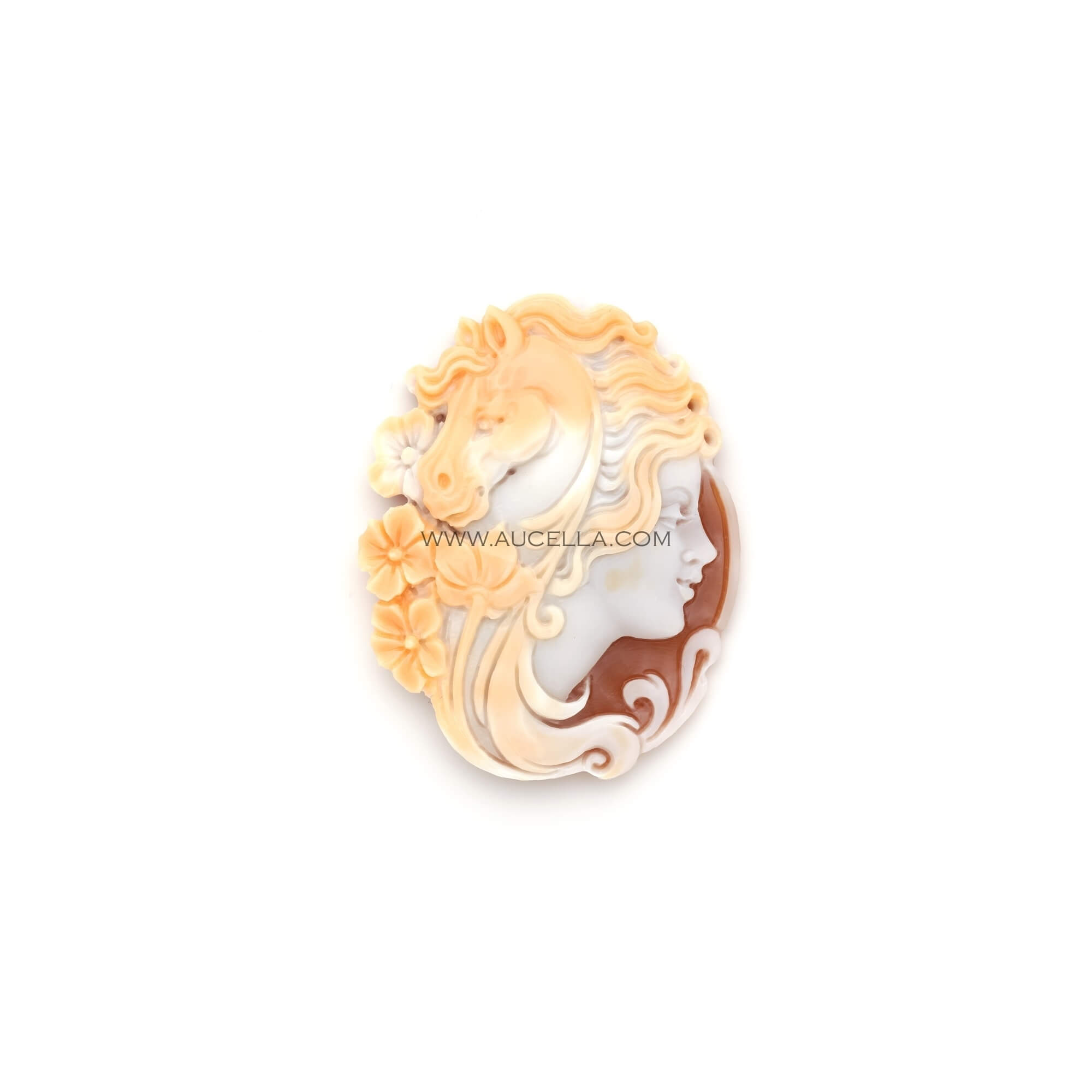 Woman face and Horse carved on seashell