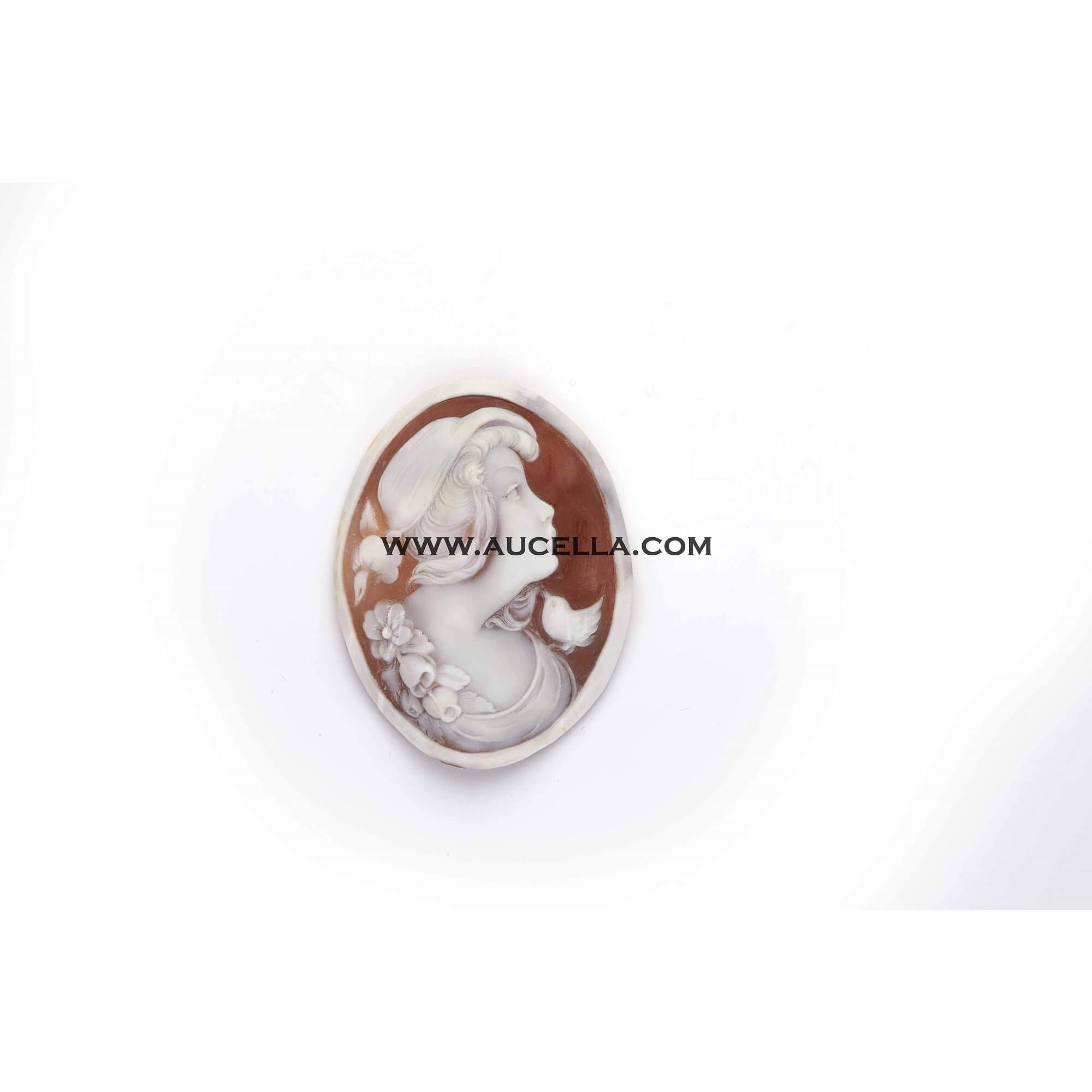 Shell cameo Sorrentino