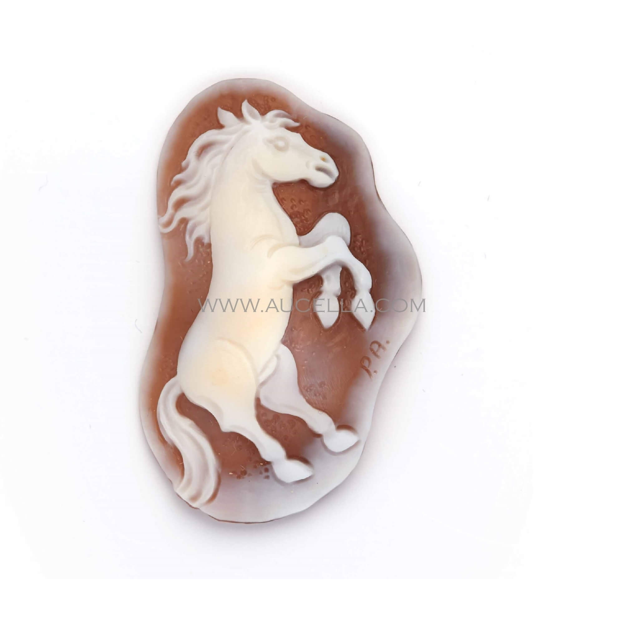 Cammeo soggetto animale 