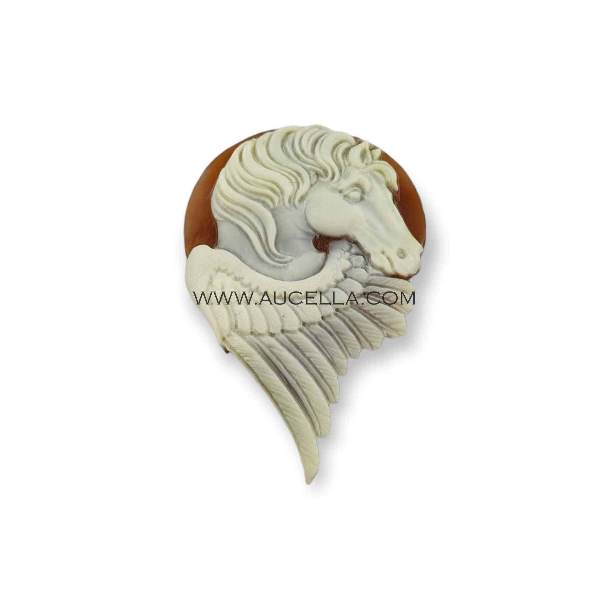 Cavallo inciso su conchiglia naturale 