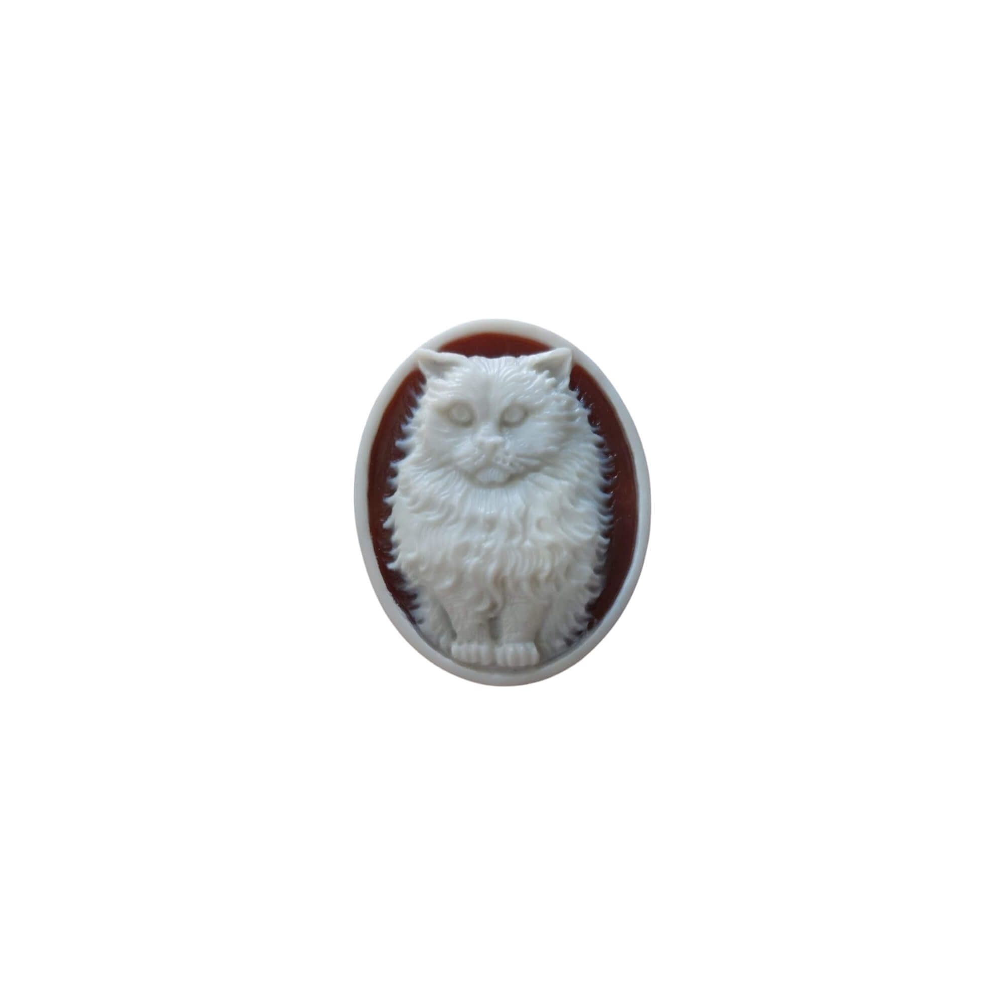 Cat carved on natural seashell 