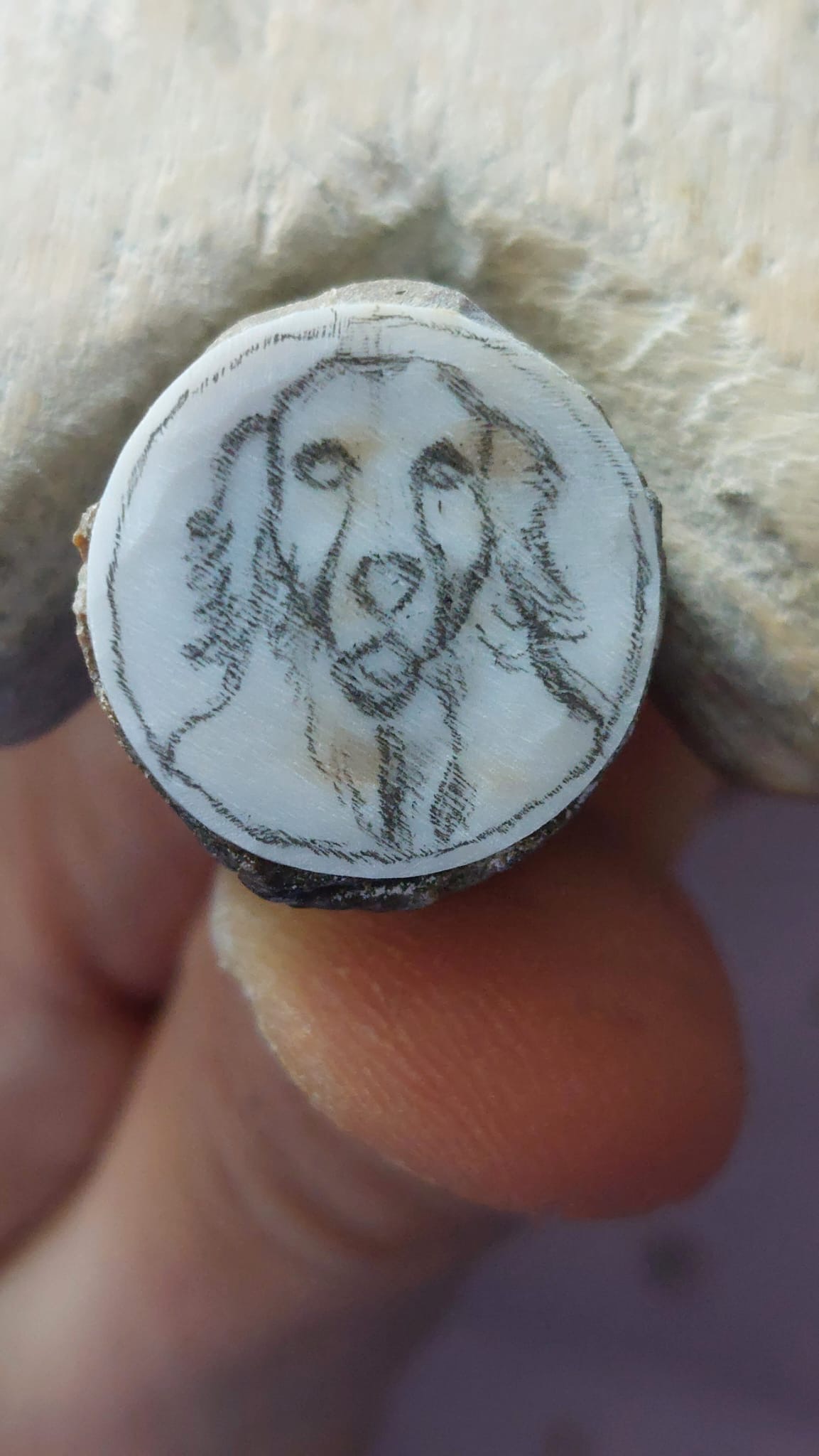 Dog cameo