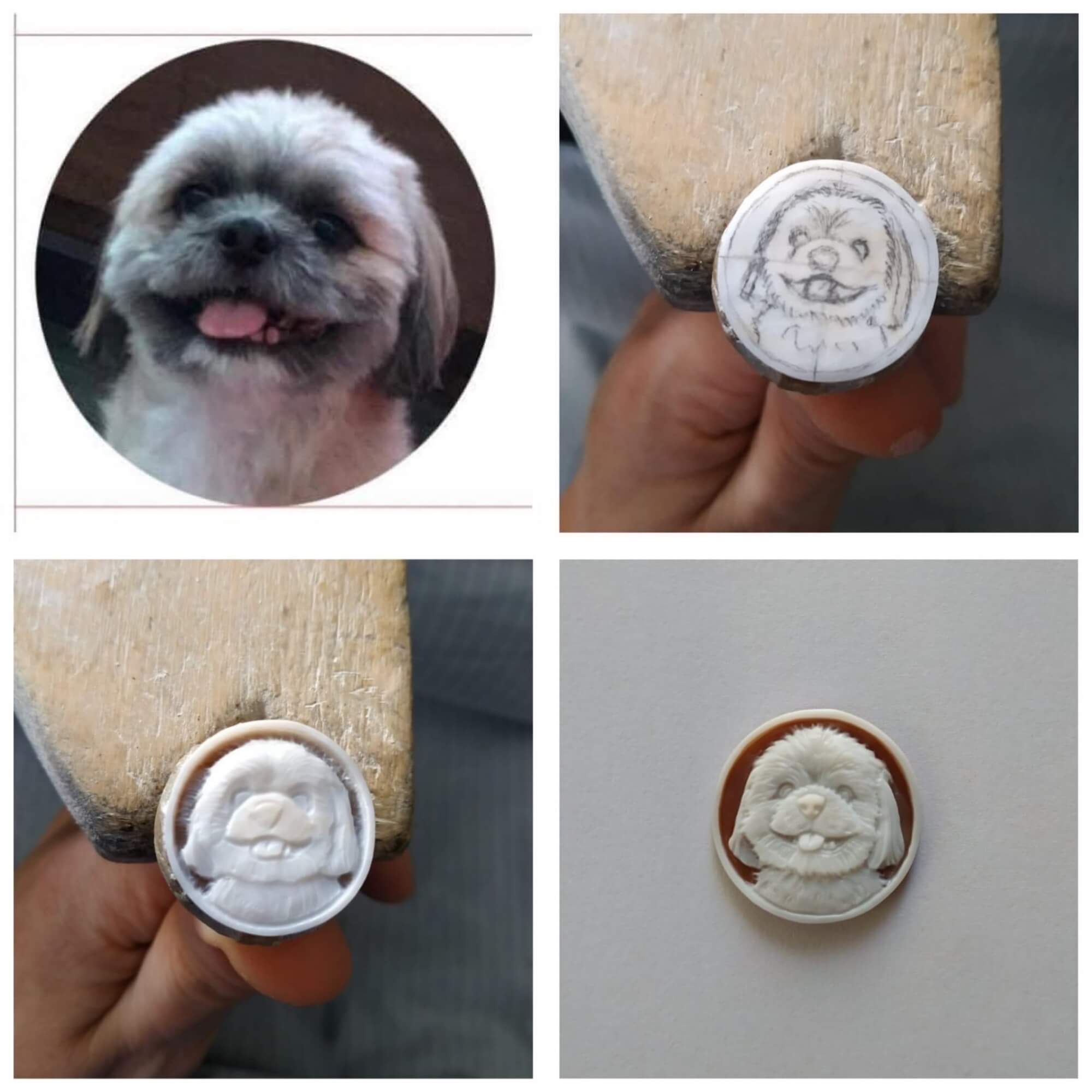 Cane su cammeo