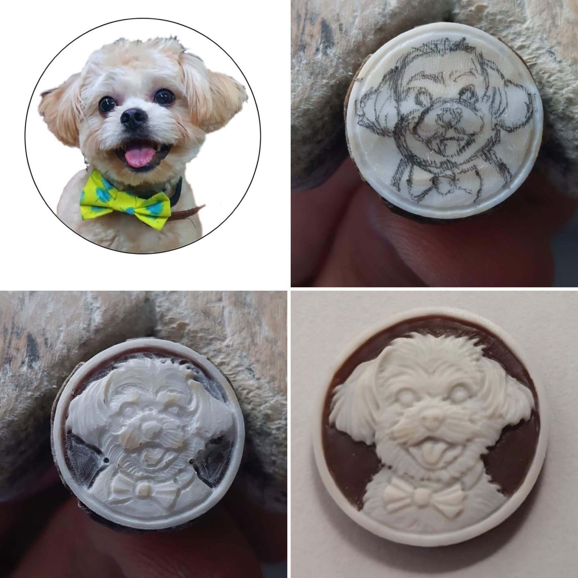 Dog on cameo