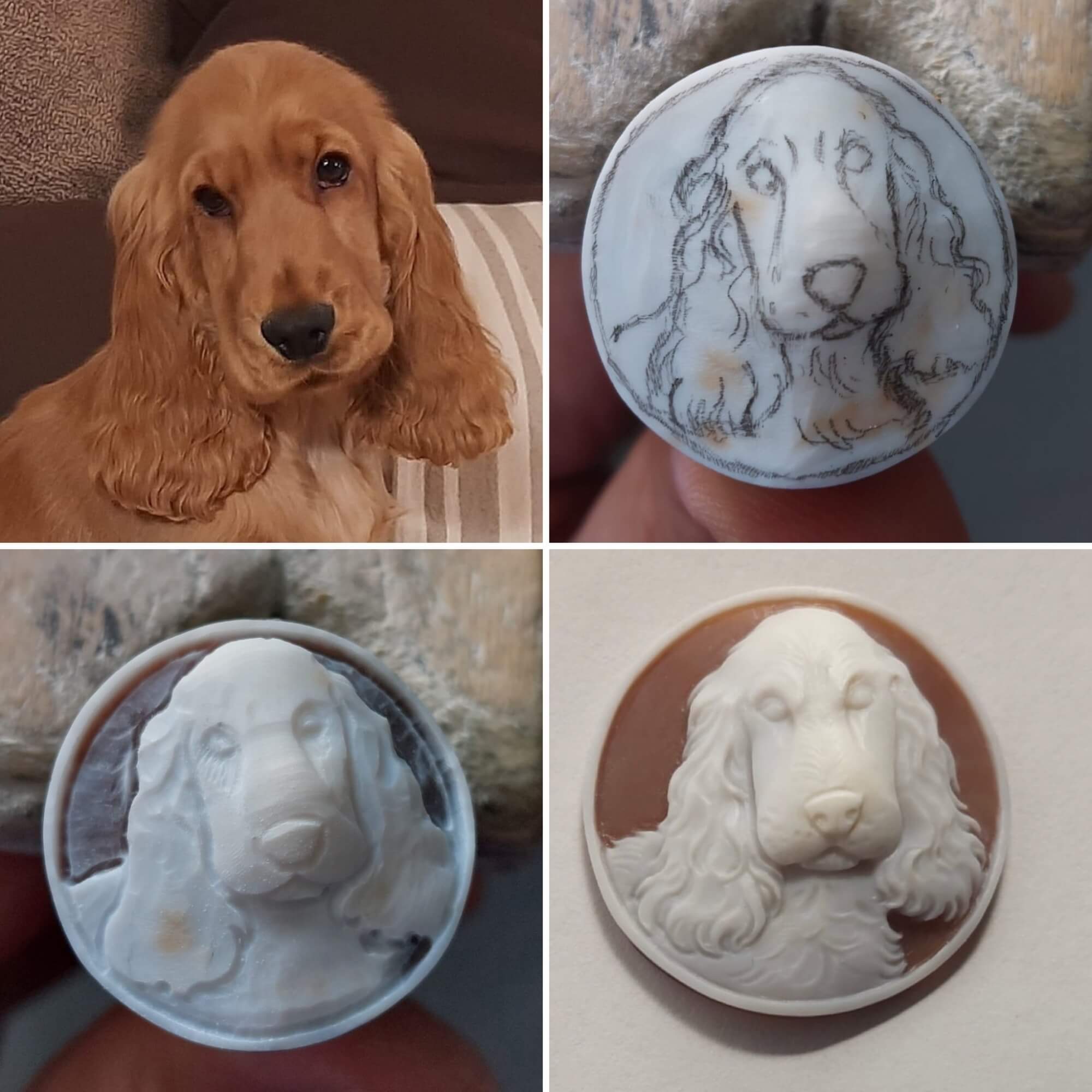 Dog on cameo