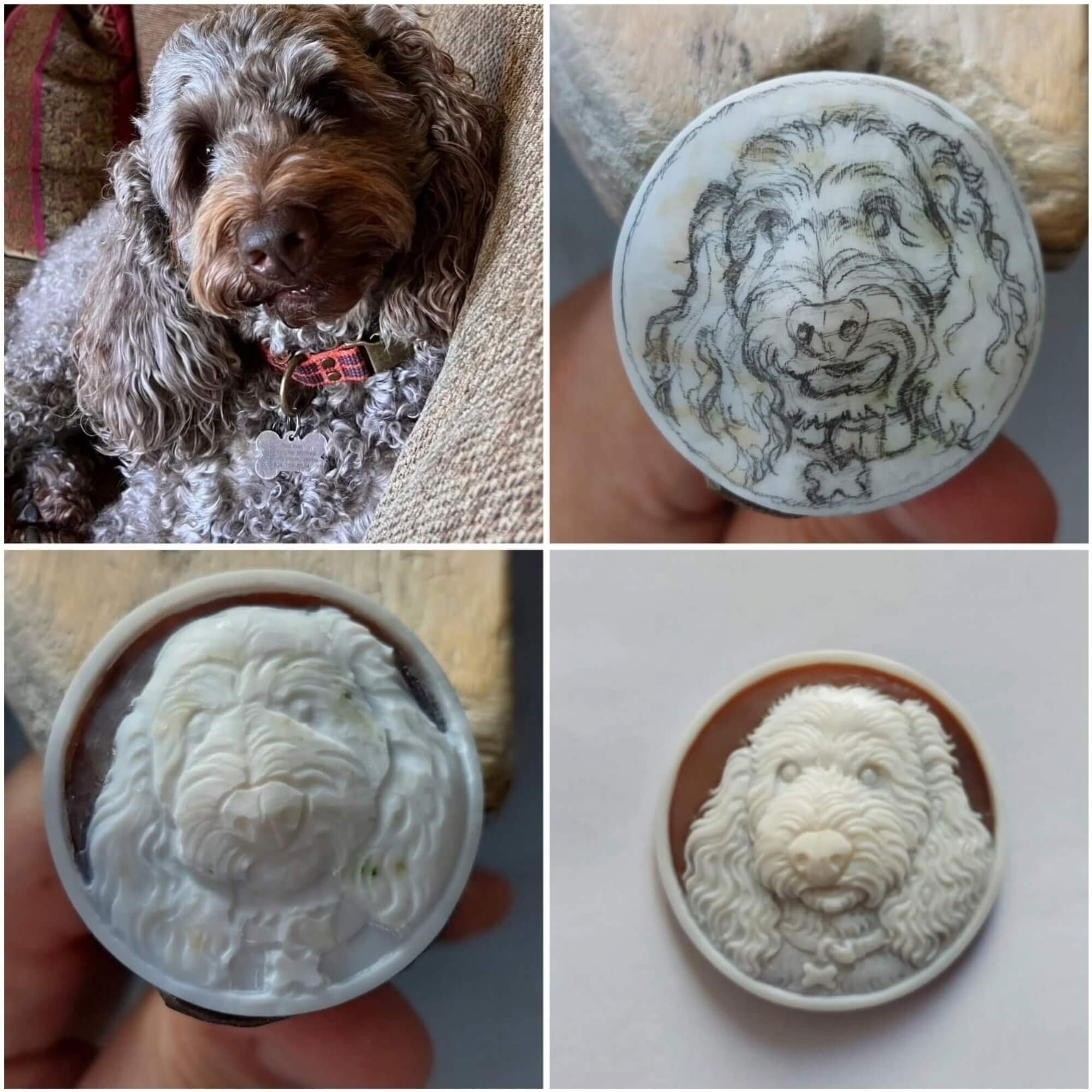 Dog handmade on natural sardonyx seashell