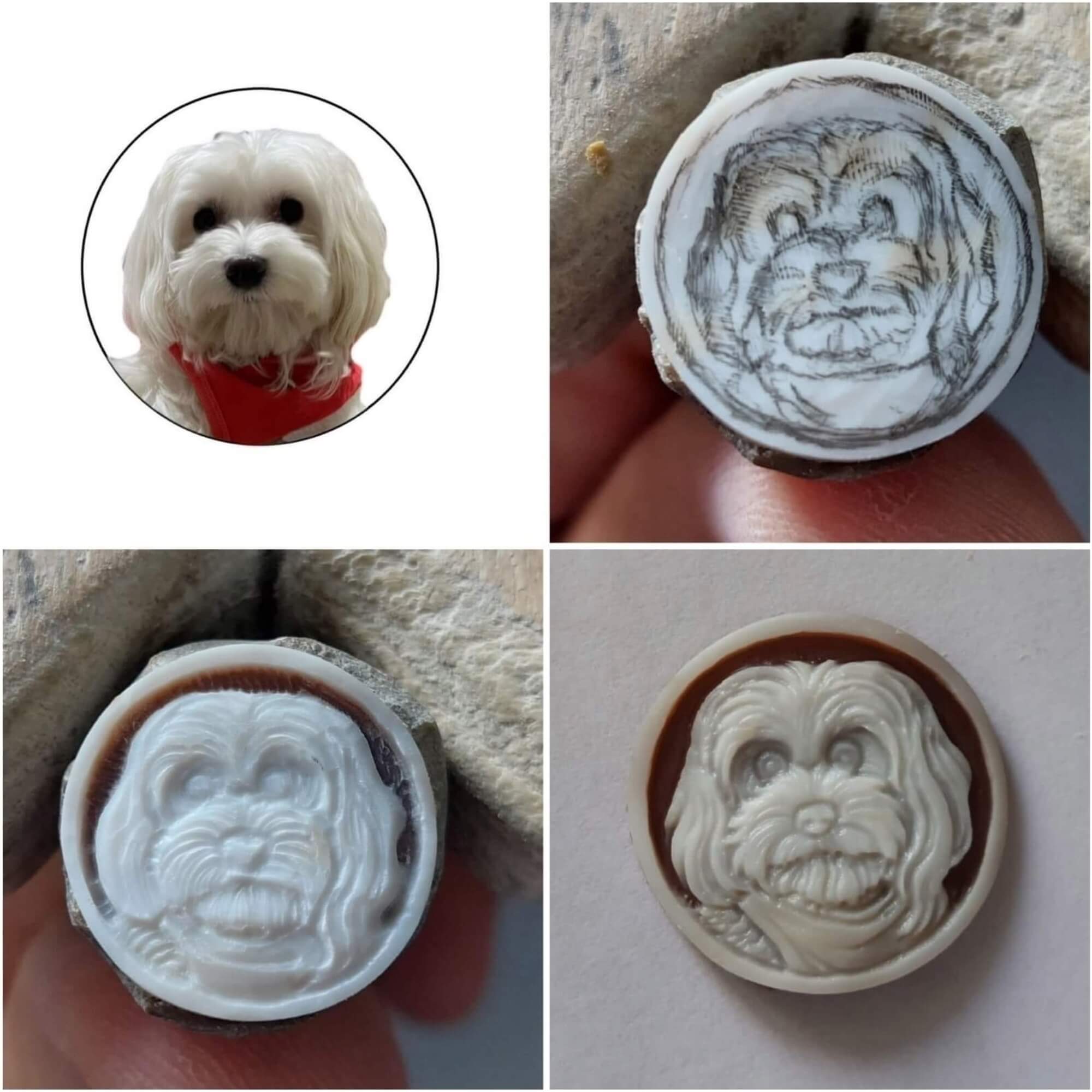Dog carved on natural seashell cameo