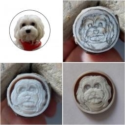 Cane realizzato su cammeo in conchiglia 