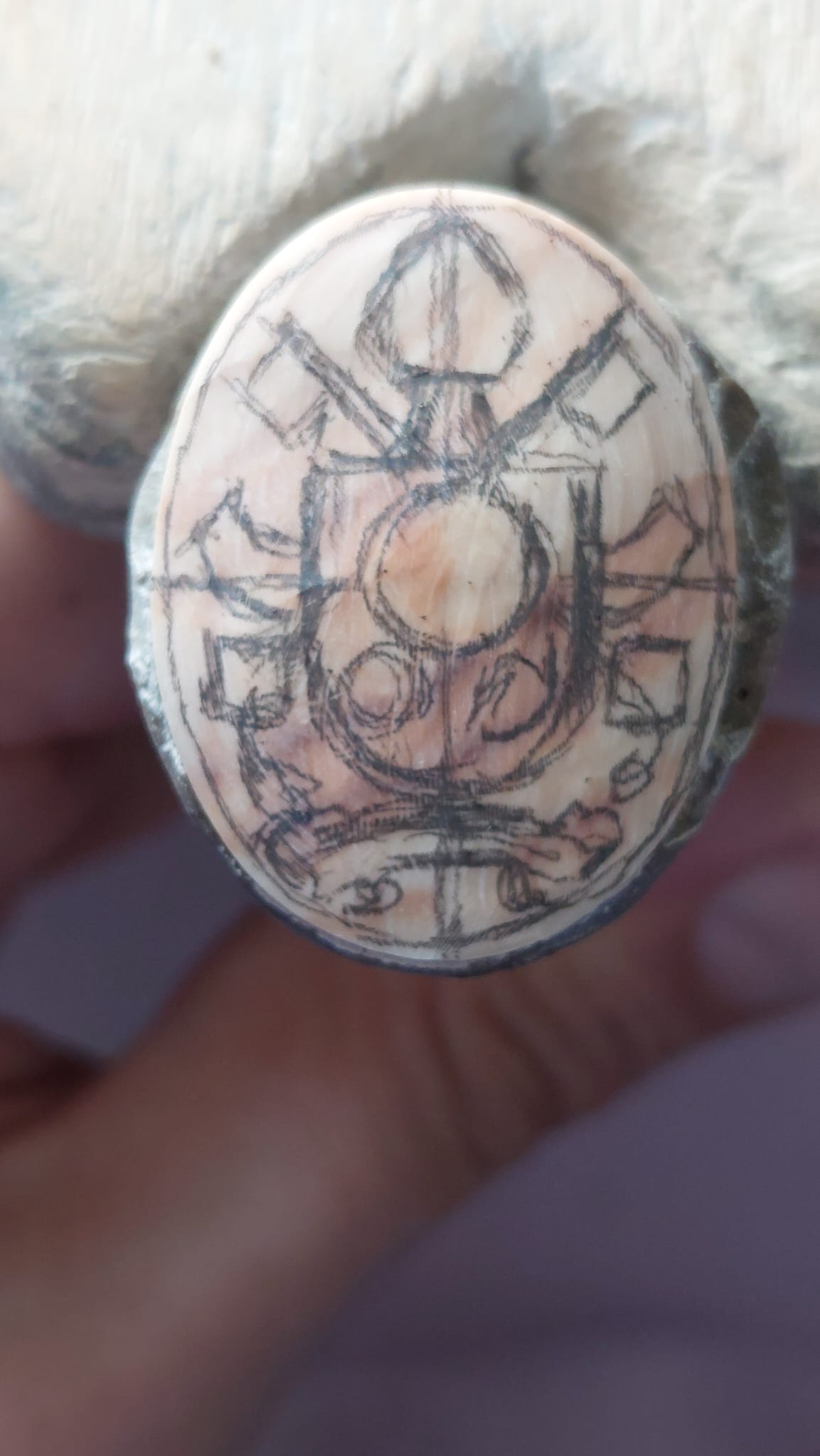 Cameo Papa Francesco