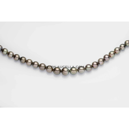 necklace thaiti pearls quality good