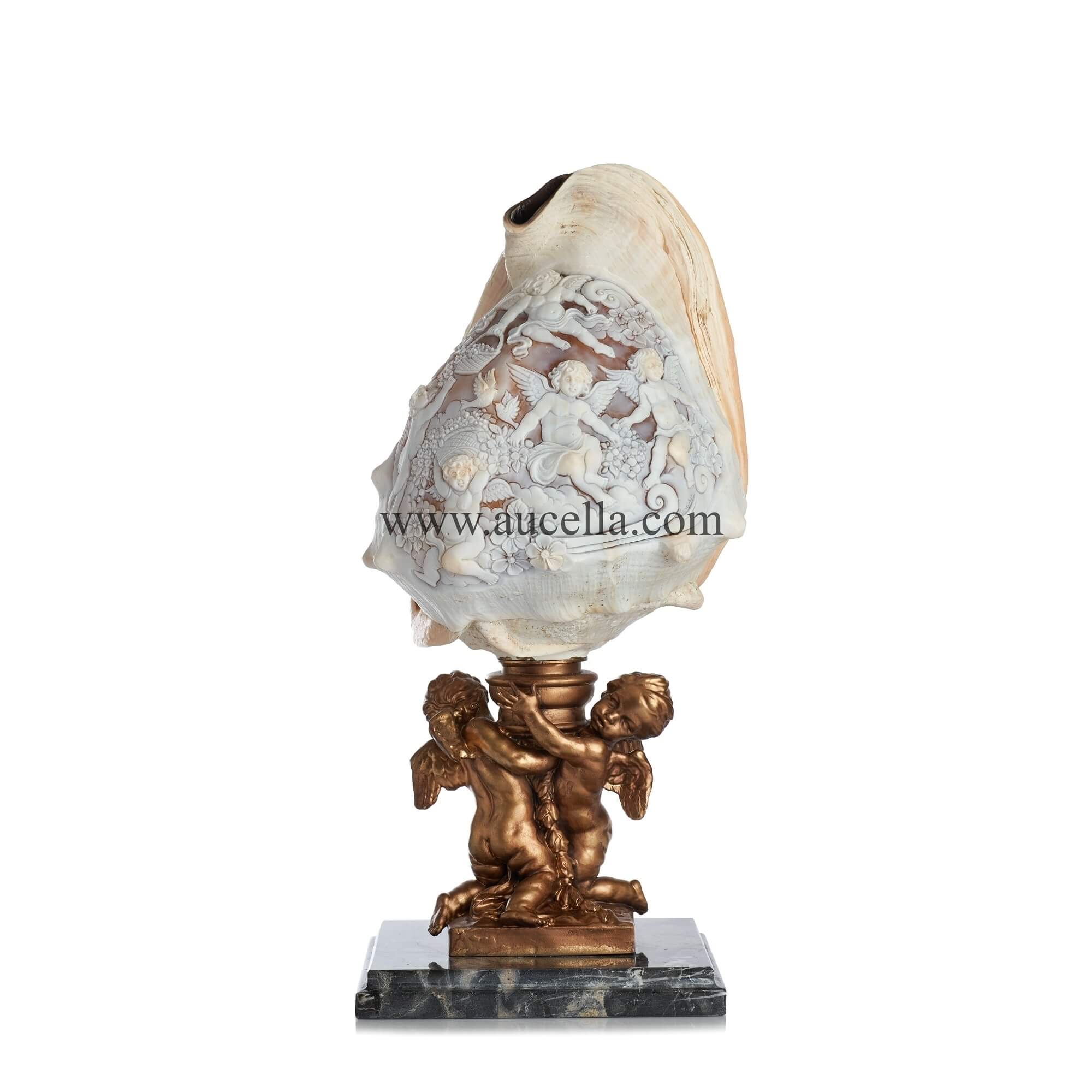 Lamp made with natural seashell